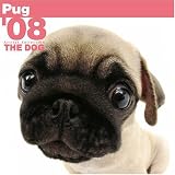 Pug