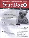 Your Dog (1-year auto-renewal)