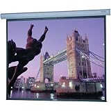 Da-Lite Screen