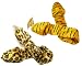 DOG PULL TOY - TWO HEADED SNAKE - (SET OF 2!)