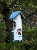 Plastic Squirrel Proof Mixed Seed 1 Qt. Feeder