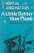 Book A Little Better than Plumb: The Biography of a House
