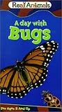 Real Animals a Day With Bug
