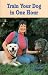 Train Your Dog in One Hour