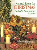 Books : Natural Ideas for Christmas: Fantastic Decorations to Make