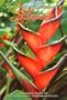 Images of Hawaii's Flowers: A Pictorial Guide to the Aloha State's Flowering Plants