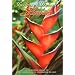 Images of Hawaii's Flowers: A Pictorial Guide to the Aloha State's Flowering Plants
