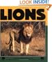 Lions (Nature Watch)