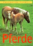 Produkt-Bild: Pferde