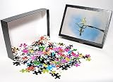 Photo Jigsaw Puzzle of BB-1431 Green / Plumed Crested basilisk - young running across water from Ardea Wildlife Pets