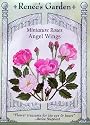 Miniature Roses Heirloom Seeds 22 Seeds