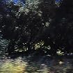 Wind