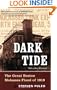 Dark Tide: The Great Boston Molasses Flood of 1919