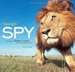 Serengeti Spy: Views from a Hidden Ca...