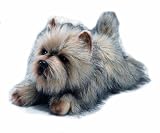 Yomiko Yomiko Cairn Terrier by Russ