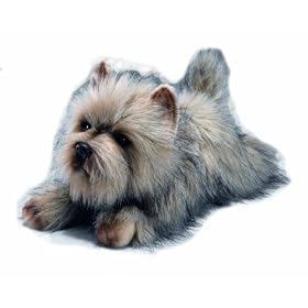 Yomiko Yomiko Cairn Terrier by Russ