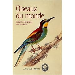 Oiseaux du monde