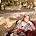 Sandi Patty