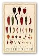 Great Chile Poster (fresh) by Mark Miller 36"x24" Art Print Poster