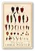 Great Chile Poster (fresh) by Mark Miller 36"x24" Art Print Poster