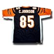 Chad Johnson "Repli-thentic" NFL "Stitched-on Name and Number" EQT Jersey