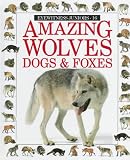 Amazing Wolves, Dogs, and Foxes (Eyewitness Juniors)