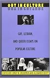 Out in Culture: Gay, Lesbian and Queer Essays on Popular Culture (Series Q)