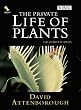 The Private Life of Plants [UK Import] [2 DVDs]