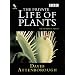 The Private Life of Plants [UK Import] [2 DVDs]