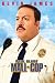 Paul Blart: Mall Cop
