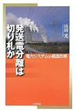 発送電分離は切り札か: 電力システムの構造改革