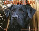 Hunting Labs 2007 Calendar