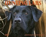 Hunting Labs 2007 Calendar