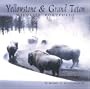 Yellowstone & Grand Teton Wildlife