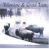 Yellowstone & Grand Teton Wildlife Portfolio