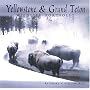 Yellowstone & Grand Teton Wildlife Portfolio