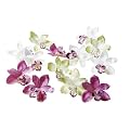 Deko-Woerner Cattleya-Orchideenbl�ten 30Stk.
