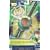Ben 10 Alien Force Omnitrix BI-OPTIXX Watch