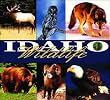 Idaho Wildlife Coverlet