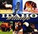 Idaho Wildlife Coverlet