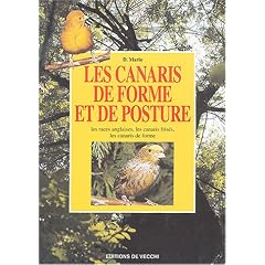 Les canaris de forme et de posture