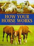 How Your Horse Works