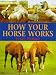 Book How Your Horse Works