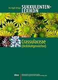 Sukkulenten-Lexikon: Sukkulentenlexikon 4. Crassulaceae: Bd 4