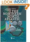 The Northern North Atlantic: A Changing Environment
