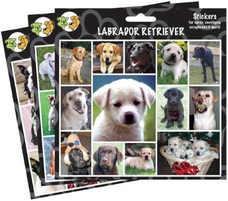 Arf Art Stickers Chow Chow