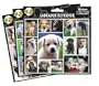 Arf Art Stickers, Breed: Border Terrier