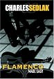 Guitar Lessons: Flamenco Made Easy Learn How to play Flamenco guitar instructional video