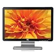 HP W1907 19-inch Widescreen Flat Panel LCD Monitor