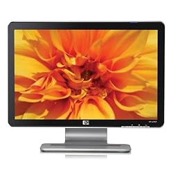 HP W1907 19-inch Widescreen Flat Panel LCD Monitor